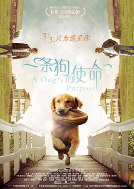 免费观看高清视频ww